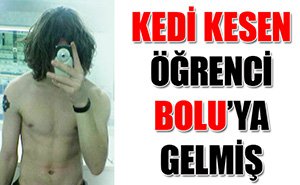 KEDİ KATİLİ BOLU'DA MI ?