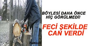 KESİM MOTORUNDAN ÇIKAN GAZ CAN ALDI!