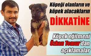 KÖPEK SEVERLERİ İLGİLENDİREN HABER