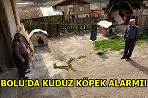 KUDUZ KÖPEK ALARMI!