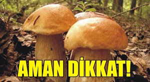 MANTARDAN ZEHİRLENDİ