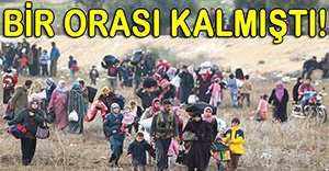 MUDURNU'DA SIĞINMACI İSYANI!