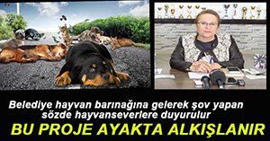 MUHTEŞEM PROJE BÜYÜYOR...