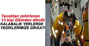 PİŞMİŞ TAVUKTAN 13 KİŞİ ZEHİRLENDİ!