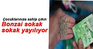 POLİS BONZAİNİN PEŞİNİ BIRAKMIYOR