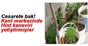 POLİS UYUŞTURUCU TACİRLERİNİ ENSELEDİ