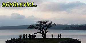 SEBEN KENDİNİ AŞIYOR...