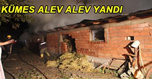 TAVUK KÜMESİ ALEV ALEV YANDI