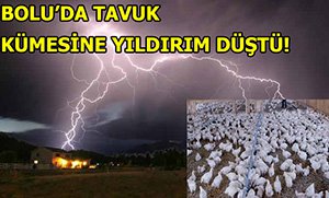 TAVUK KÜMESİNE YILDIRIM DÜŞTÜ!