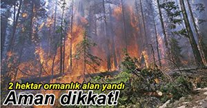 YANGIN KÖY HALKINI KORKUTTU