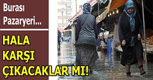 YENİ PAZARYERİ ŞART OLDU!