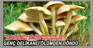 21 YAŞINDAKİ GENÇ MANTARDAN ZEHİRLENDİ