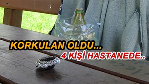 4 GENÇ BONZAİ YÜZÜNDEN HASTANELİK OLDU..