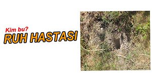 50 FİDANI SÖKÜP ÇALDILAR