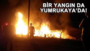 80 KEÇİ ALEVLERDEN SON ANDA KURTARILDI!