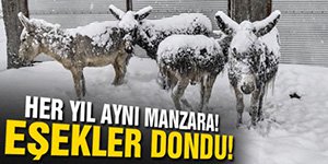 AKIL ALMAZ GÖRÜNTÜLER...