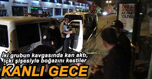 ALKOL ŞİŞESİNİ BOYNUNA SAPLADI