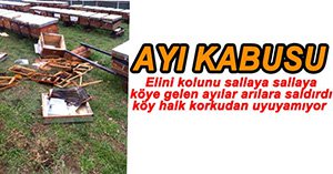 ARI KOVANLARINA AYI SALDIRDI!