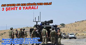 BİNGÖL'DE HAİN PUSU, 3 ŞEHİT 6 YARALI
