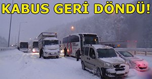 BOLU DAĞI'NDA YİNE ESARET!