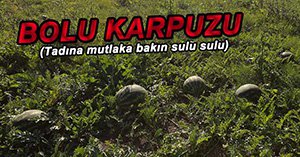 BOLU KARPUZU KOCAMAN OLDU