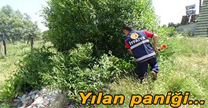 BOLU'DA EVİN BAHÇESİNDE YILAN PANİĞİ