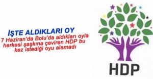 BOLU'DA HDP'NİN OYLARI DÜŞTÜ