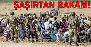 BOLU'DAKİ SURİYELİ SAYISI AÇIKLANDI!