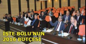 BOLU'NUN 2016 YILI BÜTÇESİ BELLİ OLDU