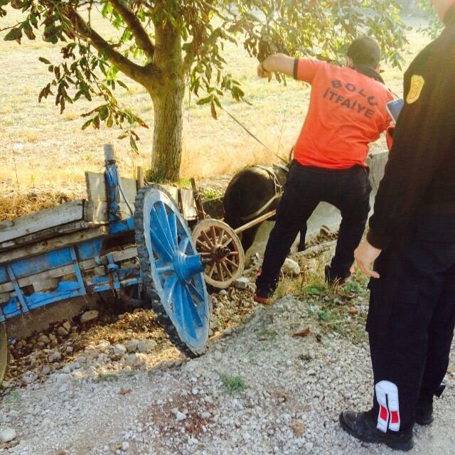 İTFAİYEDEN AT OPERASYONU