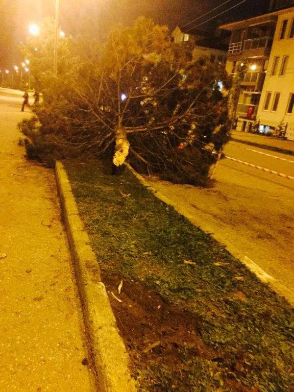 O YOLDA 3 KİŞİ ÖLÜMDEN DÖNDÜ