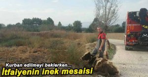 ÇAMURA BATAN İNEĞİ İTFAİYE KURTARDI!