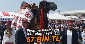 DEVE REKOR FİYATA ALICI BULDU