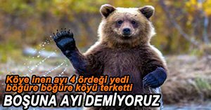 DÖRTDİVANLI'NIN AYIYLA İMTİHANI