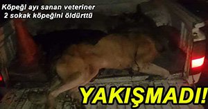 GEREDE'DE AKIL ALMAZ GÖRÜNTÜLER