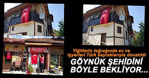 GÖYNÜK TÜRK BAYRAKLARIYLA DONATILDI