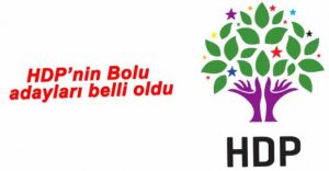 HDP'NİN ERKEN SEÇİM LİSTESİ