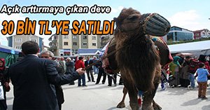 HERŞEY YURT TALEBELERİ İÇİN...