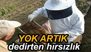 HIRSIZLAR KOVANLARA DADANDI..