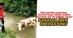 İNEĞİN İMDADINA İTFAİYECİLER YETİŞTİ