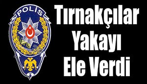 İRANLI TIRNAKÇILAR BOLU'DA YAKALANDI..