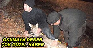 İTFAİYE YARALI KARACAYI KURTARDI