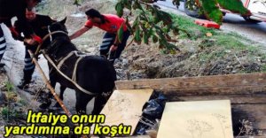 İTFAİYEDEN AT OPERASYONU