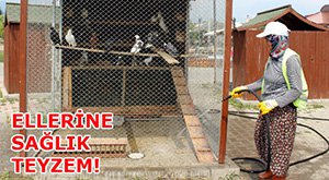 KARAÇAYIR'DA DÖRT DÖRTLÜK BAKIM!