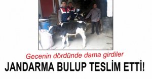 KÖYDE DAMA GİRİP BUZAĞILARI ÇALDILAR!