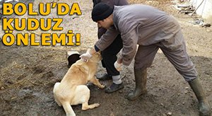 KUDUZ ÖNLEMLERİ ARTTI!