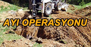 KUYUYA DÜŞEN AYI 2 SAATTE KURTARILDI