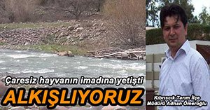 MÜDÜRDEN HERKES ÖRNEK DAVRANIŞ