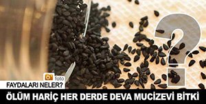 ÖLÜM HARİÇ HER DERDE DEVA BİTKİ