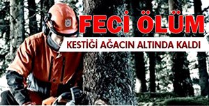 ORMAN İŞCİSİ FECİ ŞEKİLDE CAN VERDİ.